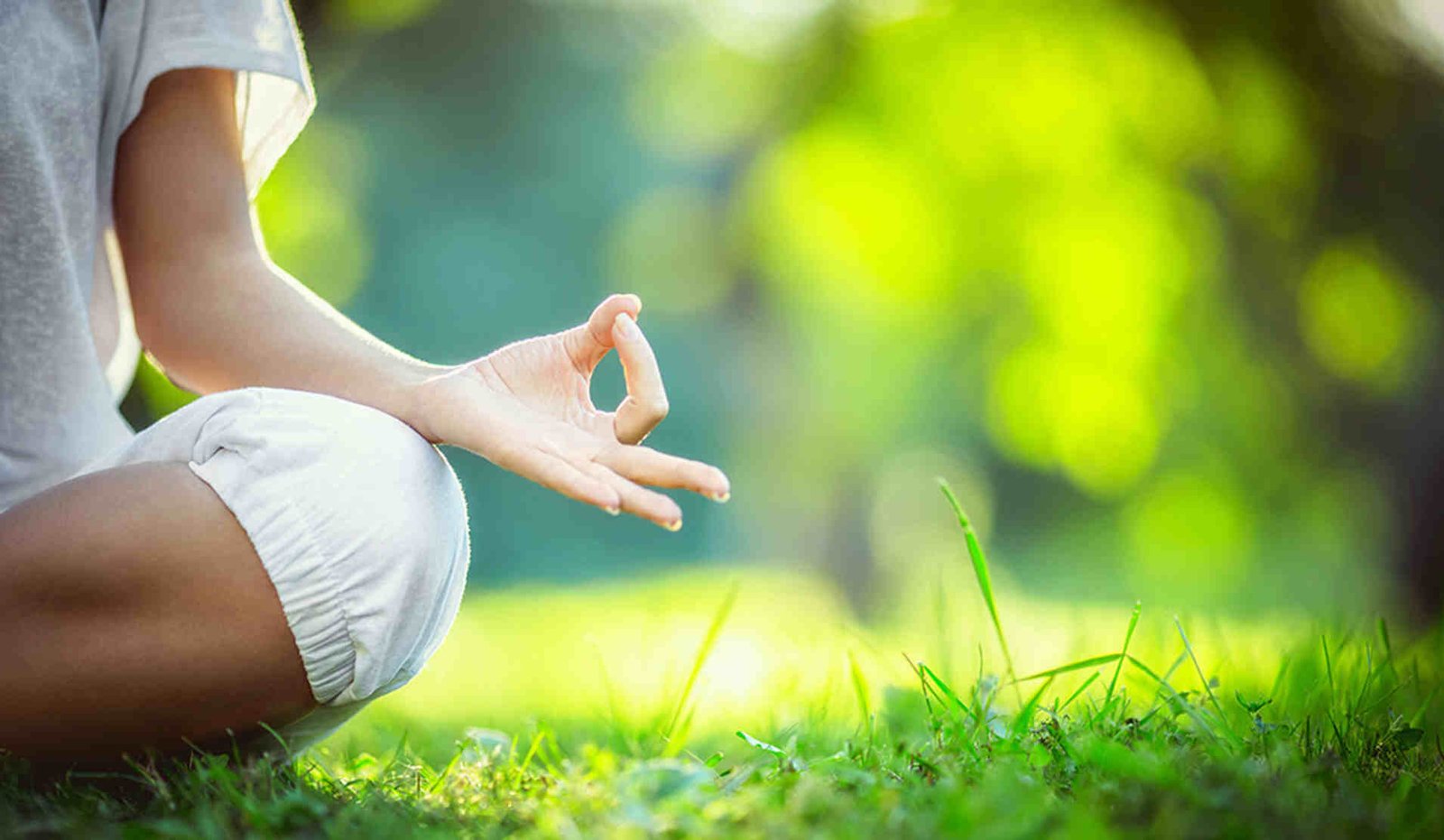 Instructorado de Meditación Activa y Atención Plena