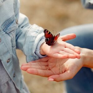 Curso Educación Emocional y Atención Plena para educadores