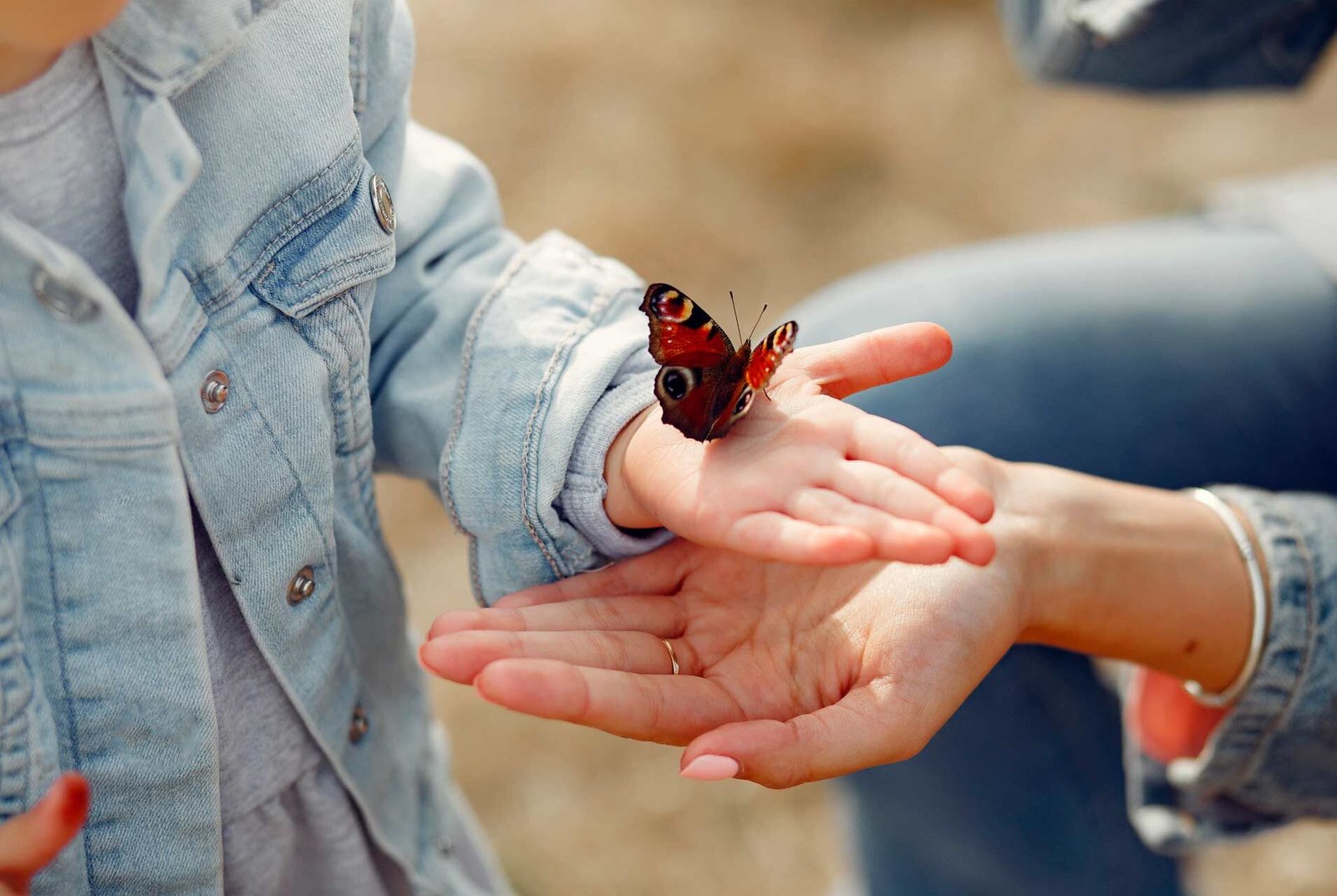Educación Emocional y Atención Plena para educadores