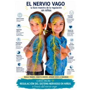 Regulación del Sistema Nervioso en Niños | Curso Online
