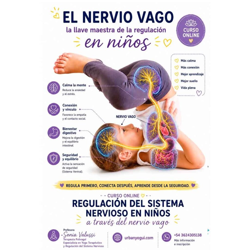 Regulación del Sistema Nervioso en Niños | Curso Online